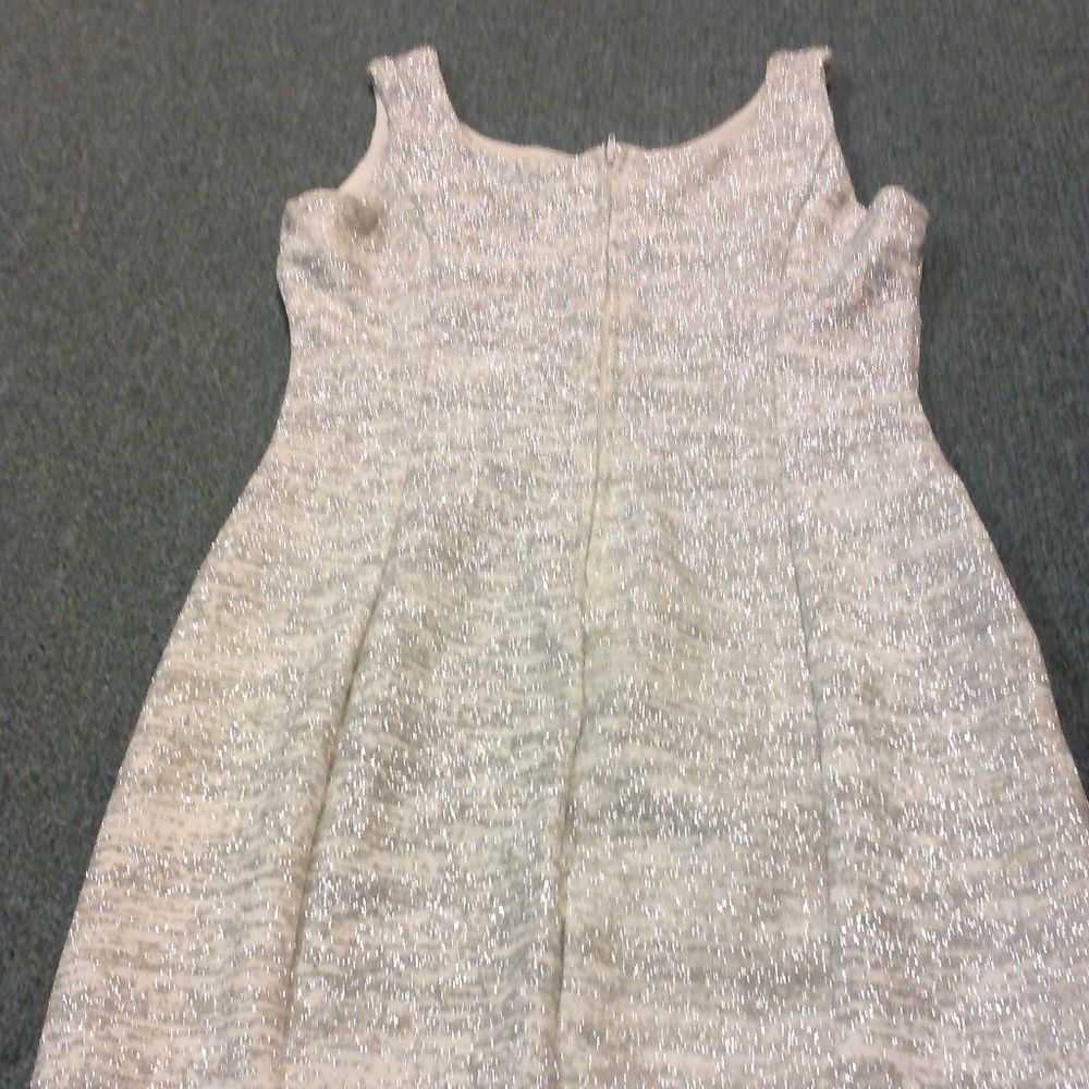 Silver Party Dress above the kness